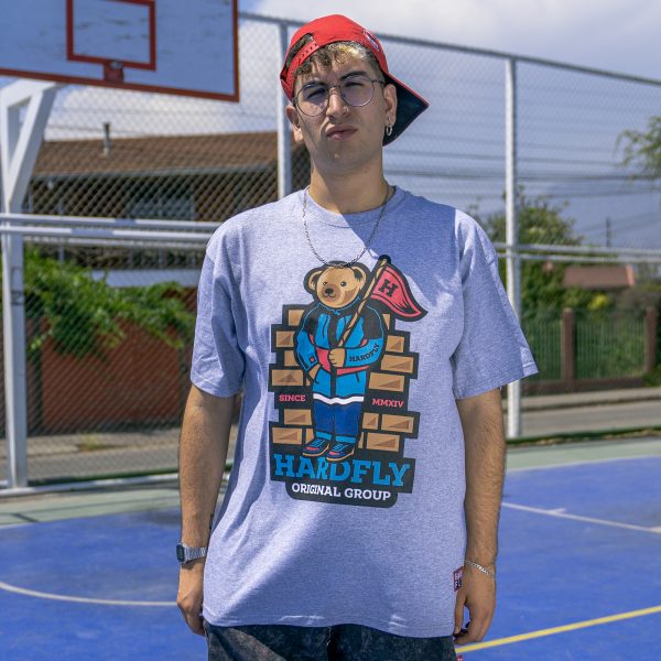 Polera Gris  Osito 2023 HF - Imagen 3