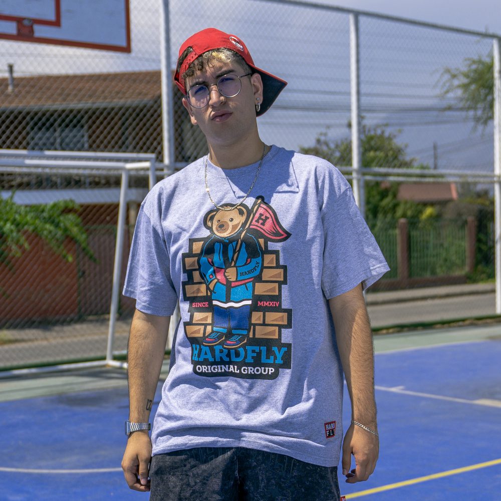 Polera Gris  Osito 2023 HF