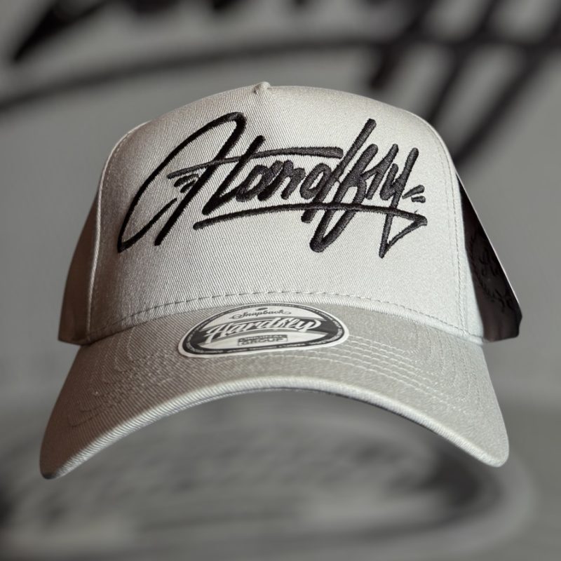SNAPBACK VICERA CURVA GRIS