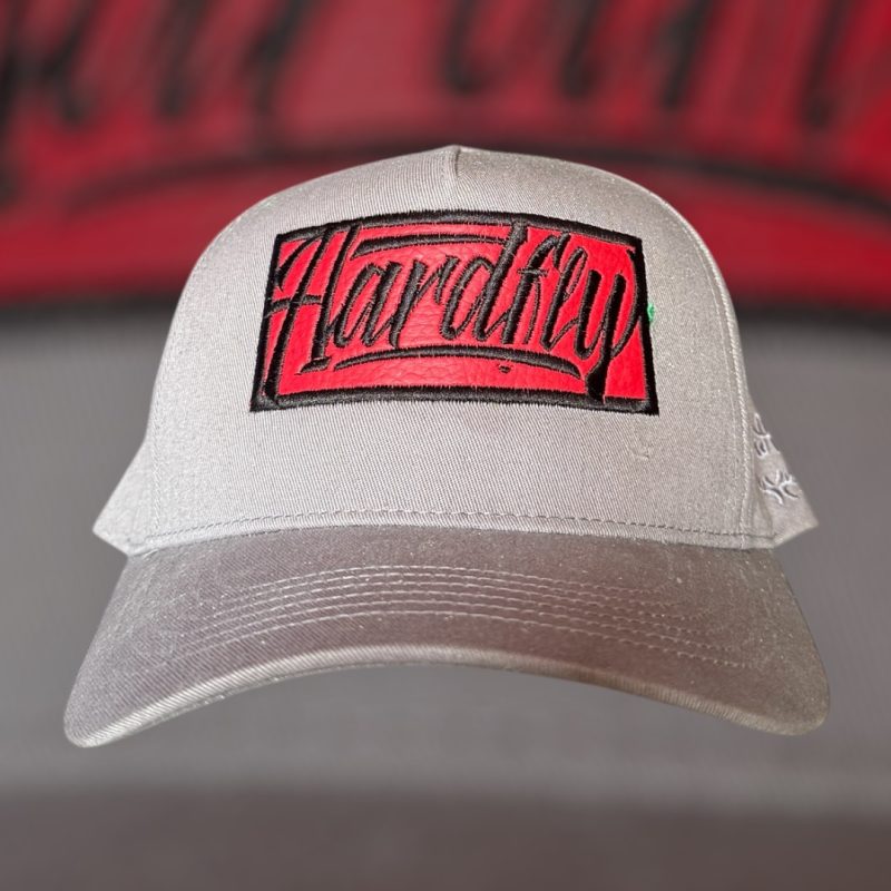 SNAPBACK GRIS VICERA CURVA