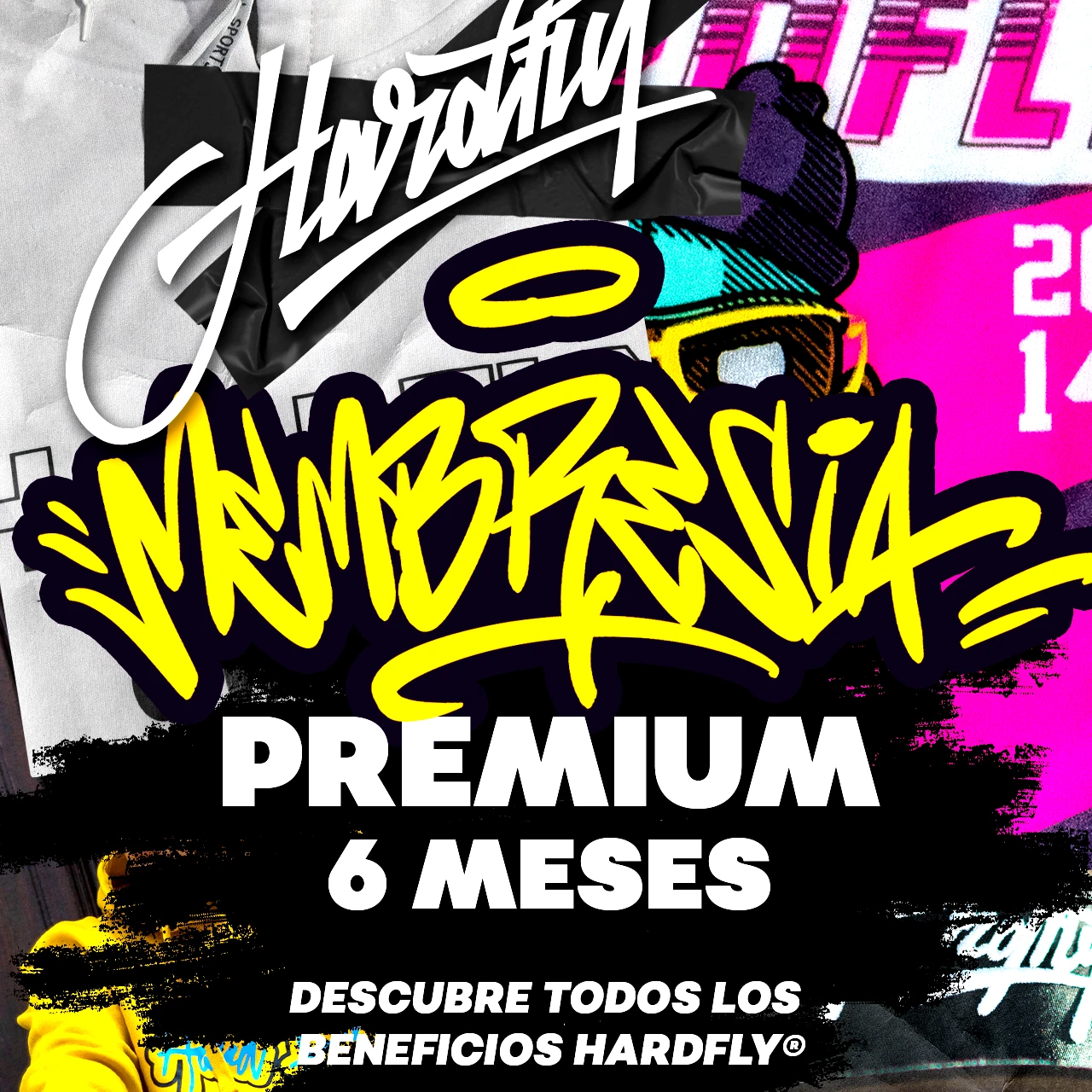 Membresia 6 Meses